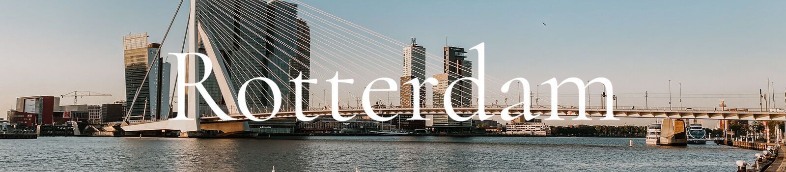 Rotterdam banner